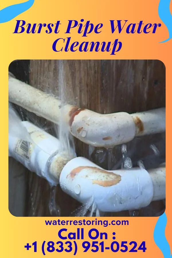 Burst Pipe Water Cleanup in Olympia, SC