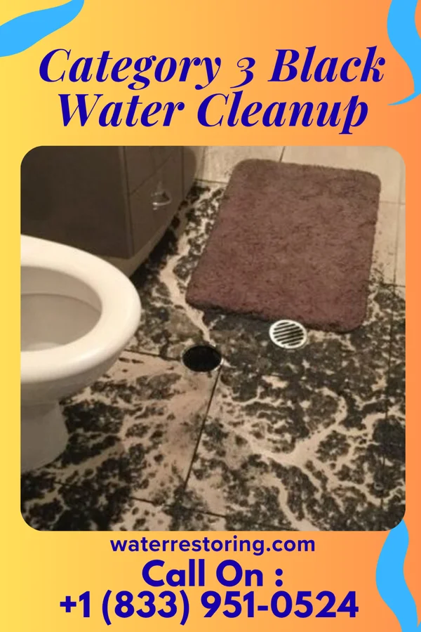 Category 3 Black Water Cleanup in Olympia, SC