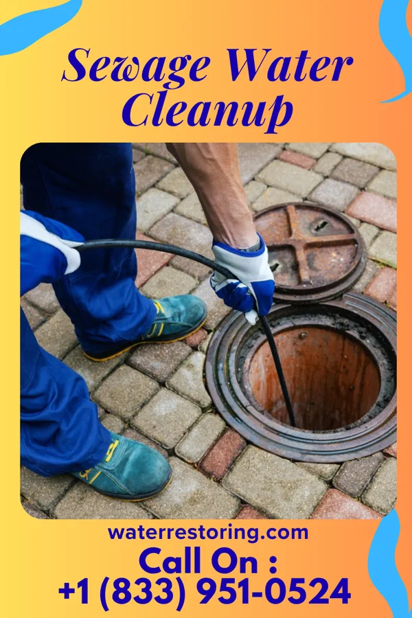 Sewage Water Cleanup in Olympia, SC